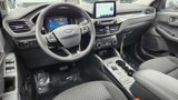 New 2025 Ford Escape Active w/ Cold Weather Package image 3