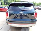 New 2025 Hyundai Palisade Calligraphy image 3