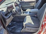 New 2026 Kia Carnival SX image 4