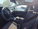 Used 2020 Toyota RAV4 XLE w/ Convenience Package image 5