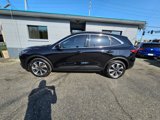 Used 2023 Ford Escape Platinum image 4