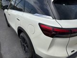 New 2025 INFINITI QX60 Luxe image 4