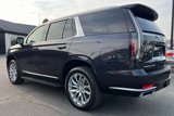 Used 2023 Cadillac Escalade Premium Luxury w/ LPO, Radiant Package image 4