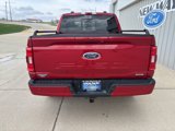 Used 2022 Ford F150 XLT w/ Equipment Group 302A High image 5