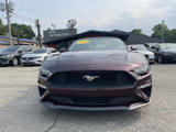 Used 2018 Ford Mustang Premium w/ Equipment Group 201A image 2