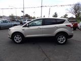 Used 2017 Ford Escape SE w/ SE Cold Weather Package image 3