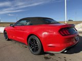 Used 2023 Ford Mustang Premium image 5
