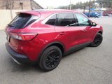 Certified 2022 Ford Escape SE image 4