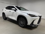 Used 2024 Lexus NX 350 AWD w/ Cold Area Package image 3
