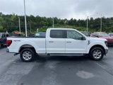Used 2024 Ford F150 XLT image 2