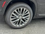 New 2025 Buick Enclave Avenir w/ Super Cruise Package image 4