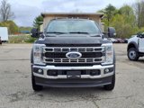 New 2025 Ford F550 4x4 Regular Cab Super Duty image 2