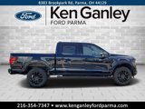 New 2025 Ford F150 XLT w/ Equipment Group 303A High image 4
