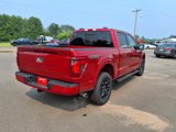 New 2025 Ford F150 XLT w/ Equipment Group 302A MID image 3