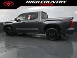 New 2025 Toyota Tundra Platinum w/ TRD Off-Road Package image 3