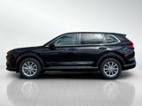 New 2025 Honda CR-V EX image 4