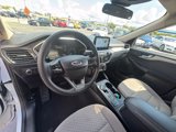 Used 2020 Ford Escape SE image 6