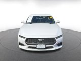 Used 2024 Ford Mustang Premium image 4