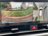 New 2026 Kia Carnival SX Prestige image 4