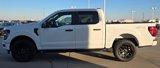 New 2025 Ford F150 STX w/ STX Black Appearance Package image 5