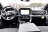 New 2025 Ford F150 XLT w/ Equipment Group 302A MID image 5