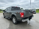 Used 2017 Ford F150 XLT w/ Equipment Group 302A Luxury image 3