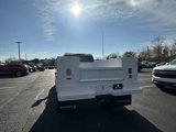 New 2025 Chevrolet Silverado 3500 W/T w/ WT Convenience Package image 5