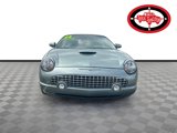 Used 2004 Ford Thunderbird Pacific Coast image 2