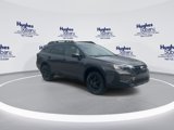 New 2025 Subaru Outback Wilderness image 3