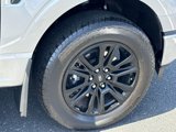 Used 2024 Ford F150 Platinum w/ FX4 Off-Road Package image 6