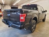 Used 2018 Ford F150 XLT w/ Equipment Group 302A Luxury image 3