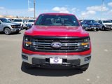 New 2025 Ford F150 XLT w/ Equipment Group 303A High image 5