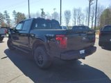 New 2025 Ford F150 XLT image 5