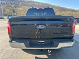New 2025 Ford F150 XLT w/ Equipment Group 302A MID image 6