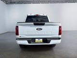 New 2025 Ford F150 STX image 4
