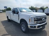 New 2025 Ford F350 XL w/ XL Chrome Package image 3