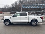 New 2024 Ford F150 XLT w/ Equipment Group 302A MID image 6