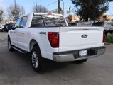 New 2025 Ford F150 XLT w/ Equipment Group 303A High image 4