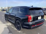 New 2025 Hyundai Palisade Calligraphy image 6