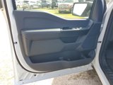 New 2025 Ford F150 STX w/ Equipment Group 200A image 5
