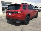 New 2025 Honda Pilot Black Edition image 4