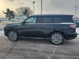 New 2025 INFINITI QX80 Sensory image 3