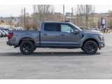 New 2025 Ford F150 Platinum w/ Equipment Group 702A High image 2