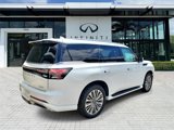 New 2025 INFINITI QX80 Luxe image 3