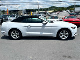 Used 2017 Ford Mustang Convertible image 5
