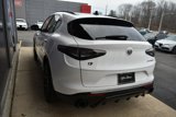 New 2025 Alfa Romeo Stelvio Sprint image 5