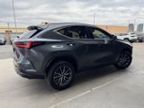 Used 2024 Lexus NX 350 AWD image 4