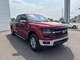 New 2025 Ford F150 XLT w/ Equipment Group 302A MID image 4