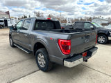 Used 2023 Ford F150 XLT w/ Equipment Group 302A High image 6