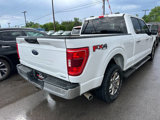 Used 2021 Ford F150 XLT w/ Equipment Group 301A Mid image 4